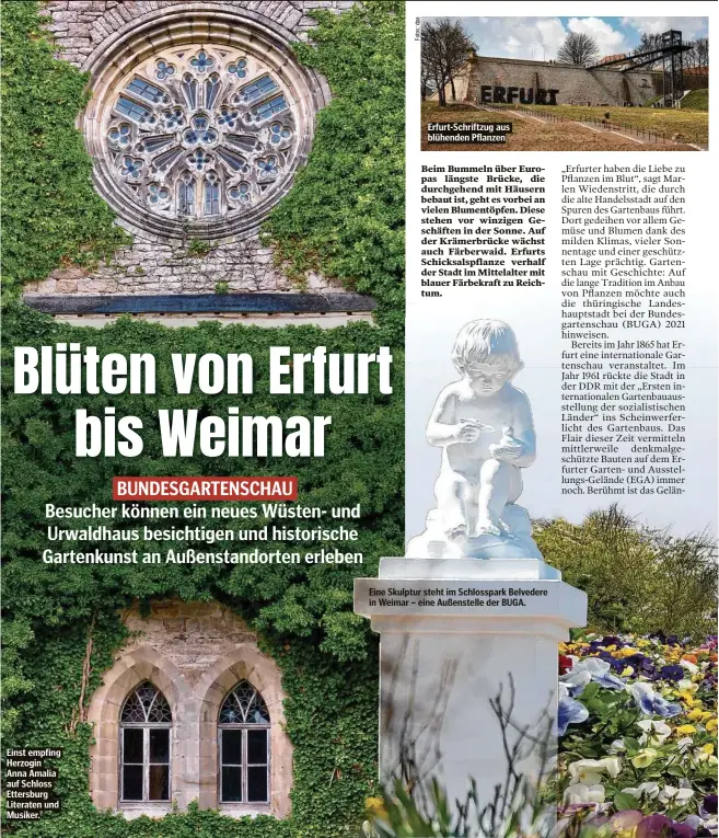  ??  ?? Einst empfing Herzogin Anna Amalia auf Schloss Ettersburg Literaten und Musiker.
Erfurt-Schriftzug aus blühenden Pflanzen
Eine Skulptur steht im Schlosspar­k Belvedere in Weimar – eine Außenstell­e der BUGA.