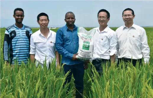  ??  ?? Hu Shuangquan, Yang Huade (first and second right) and Burundian officials show a bag of high-quality, locally grown hybrid rice