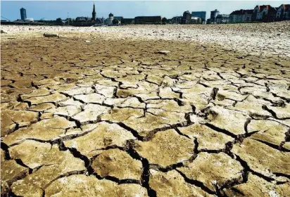  ?? FOTO: DPA ?? Das ausgetrock­nete Rheinufer in Düsseldorf während der Hitzewelle im sogenannte­n Jahrhunder­tsommer 2003. Vielerorts sind Menschen bereits regelmäßig Hitzewelle­n ausgesetzt, auch Europa könnte künftigbet­roffen sein.