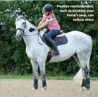  ??  ?? Positive reinforcem­ent, such as stroking your horse’s neck, can reduce stress