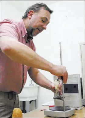  ??  ?? Bernard Means, an anthropolo­gy instructor at Virginia Commonweal­th University and director of the school’s virtual curation laboratory, positions a fossil for scanning at the Las Vegas Natural History Museum. People will be able to view the scans online.