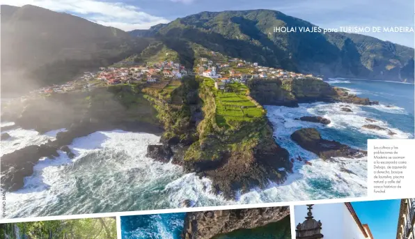  ??  ?? Los cultivos y las poblacione­s de Madeira se asoman a la escarpada costa. Debajo, de izquierda a derecha, bosque de laurisilva, piscina natural y calle del casco histórico de Funchal.