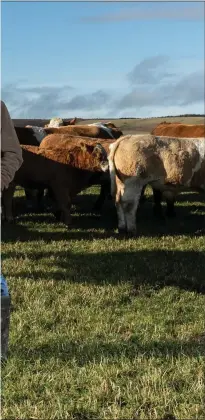  ??  ?? Gary and Angela Christie, with their son
Adam, from Midtown of Glass near Huntly who reached the finals of the Beef Farm of the Year competitio­n in 2018