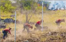  ?? GORD GOBLE/Special to The Herald ?? Members of the BC Wildfire Service dig in a guard Thursday along Highway 97 at the scene of the Mount Eneas fire.