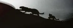  ?? Foto: Jaguar Land Rover ?? Folgt der Mama auf der Pfote: Ein Katzengesp­ann geht entlang des schwarzen Schei‰ benrands bei Jaguar auf Pirsch.