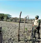  ?? F. EXTERNA ?? Las Dunas están siendo protegidas por militares de Medio Ambiente.