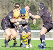  ?? Picture: Phillipa Hilton ?? Canterbury’s David Irvine keeping a grip against Rochford