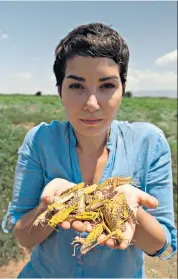  ??  ?? Handful: Sahar Zand investigat­es the scourge of locust plagues