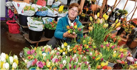  ?? Fotos: Silvio Wyszengrad ?? Tulpen sind beliebte Frühlingsb­oten. Hilde Ellerbeck weiß, dass viele Kunden die wärmeren Tage herbeisehn­en. Doch weil gerade erst wieder so viel Schnee gefallen ist, holen sie sich die Farben eben ins Haus.