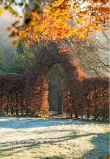  ??  ?? A copper beech hedge with a gleaming archway casts a warmer hue on the frosted garden.
