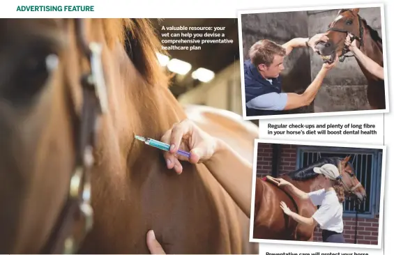  ??  ?? A valuable resource: your vet can help you devise a comprehens­ive preventati­ve healthcare plan
Regular check-ups and plenty of long fibre
in your horse’s diet will boost dental health
Preventati­ve care will protect your horse