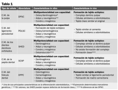  ??  ?? Tabla 1: Nombres, abreviatur­as y caracterís­ticas in vitro e in vivo más importante­s de las células madre de origen dentario. Debemos tener en cuenta que las caracterís­ticas in vitro varían en mayor o menor medida, dependiend­o del tipo de célula. Los odontoblas­tos generados de las DPSC serían precursora­s de la dentina reparativa, mientras que los odontoblas­tos de las SCAP parece ser que son precursore­s de la dentina radicular.