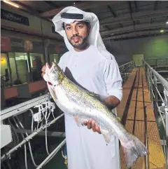  ??  ?? Bader bin Mubarak, CEO of Fish Farm, holds a salmon at the facility.