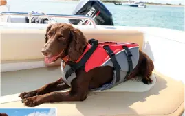  ??  ?? R I G H T Usually a reluctant lifejacket wearer, Maya seemed perfectly content in Red’s design