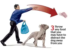  ?? ?? 3
Throw any food that you may have to distract the dog away from you