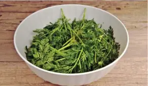  ?? DREAMSTIME ?? Even if you don’t like to eat the tops of vegetables, your pet rabbit surely will. Treat these greens as you would parsley or other convention­al herbs.