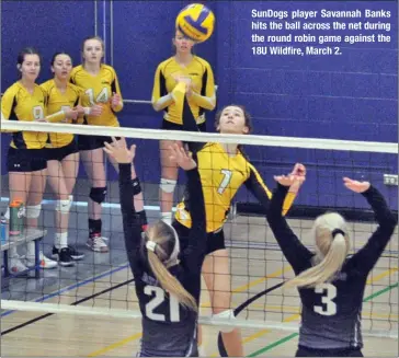  ??  ?? SunDogs player Savannah Banks hits the ball across the net during the round robin game against the 18U Wildfire, March 2.