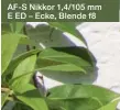  ??  ?? AF-S Nikkor 1,4/105 mm E ED – Ecke, Blende f8