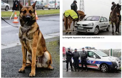  ??  ?? La brigade équestre était aussi mobilisée ©LPB Iogan, 4 ans, contrôlait les stupéfiant­s Deux policiers de Pontault autour de Stéphanie Bella ©LPB ©LPB