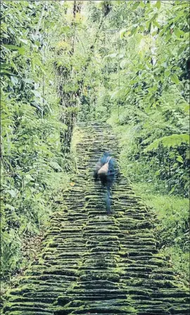  ?? ALDO BRANDO / GETTY ?? Una imagen de la selva del Pacífico colombiano, escenario de la novela