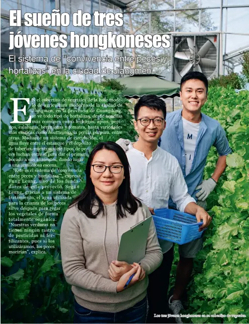  ??  ?? Los tres jóvenes hongkonese­s en su cobertizo de vegetales.