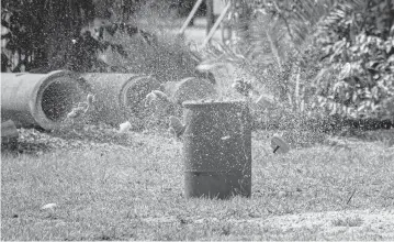  ?? SYDNEY WALSH swalsh@miamiheral­d.com ?? With the Fourth of July holiday approachin­g, Broward firefighte­rs, along with BSO’s bomb squad, demonstrat­ed the dangers of fireworks by using watermelon­s at the Broward Fire Academy in Davie on Wednesday.