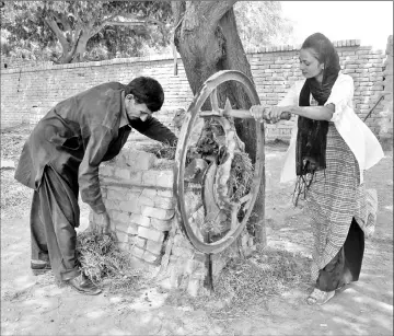  ??  ?? Uzma Nawaz helps her father prepare food for cattle at their home.