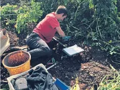  ??  ?? The amount and type of soil above potatoes is the most important factor.