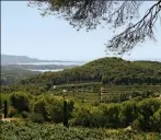  ??  ?? LE CIRQUE DU VIGNOBLE DE PIBARNON. C’est ici, dos à la Méditerran­ée, que naissent les grands bandols du château de Pibarnon.