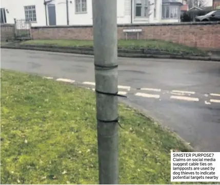  ??  ?? SINISTER PURPOSE? Claims on social media suggest cable ties on lampposts are used by dog thieves to indicate potential targets nearby