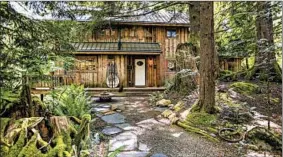  ??  ?? The Brewington­s’ home demonstrat­es one of the best uses for old-growth timber. This is the front of the home, built around giant trees and nurse logs.