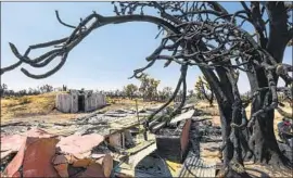  ?? Irfan Khan Los Angeles Times ?? THE DOME FIRE burned more than 1.3 million Joshua trees, an old adobe bunkhouse at Valley View Ranch and a historic ranch house at Kessler Springs Ranch.