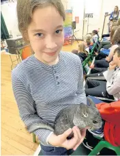  ??  ?? Evie Waters holding a chinchilla, native to the Andes mountains in South America