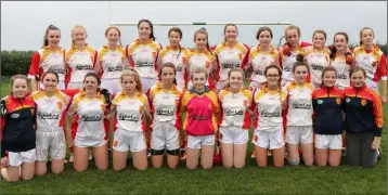  ??  ?? The Sarsfields squad before the final in Ballymurn.