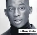  ??  ?? &gt; Harry Uzoka