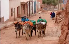  ??  ?? Estancia Colomé, a 47 km de la salteña Cafayate, es también una bodega de renombre internacio­nal que recibe huéspedes y tiene su propio museo de arte contemporá­neo. Abajo: Nazareno (Salta) repite las caracterís­ticas de los pueblos del norte argentino.