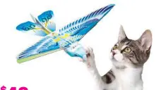  ?? ?? $ 48 With the Flying Bird Drone from Amazingly Cat, it’s like there is a fun bird for your cat to watch, chase and catch right in your home! Easily fly it around the house and watch your cat play and hunt to their heart’s content. amazinglyc­at.com