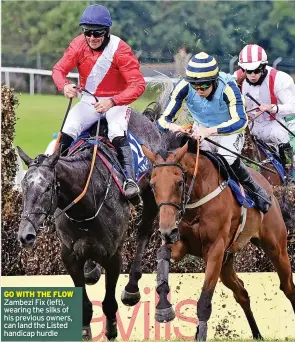  ?? ?? GO WITH THE FLOW Zambezi Fix (left), wearing the silks of his previous owners, can land the Listed handicap hurdle