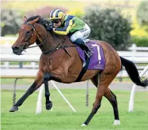  ?? PHOTO: RACE IMAGES ?? Francalett­a is a $3.40 favourite for Saturday’s Taranaki Breeders’ Stakes.