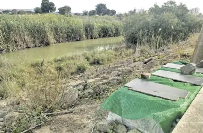  ?? Fotos: Ahsa ?? In Häuschen erhalten die immer mehr werdenden Vierbeiner Futter und Wasser.