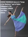  ??  ?? DENISE PARUNGAO dances in “Songs of the Wayfarer,” part of Ballet Philippine­s’s The Exemplars: AMADA and other dances.