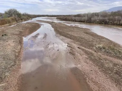  ?? Susan Montoya Bryan, The Associated Press ?? Sand bars are developing in the Rio Grande on the northern edge of Albuquerqu­e. Irrigation districts from the Pacific Northwest to the Colorado River Basin already are warning farmers to expect less water this year despite growing demands fueled by ever-drying conditions.