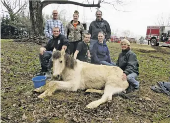  ?? BY DR. TENA BOYD CORBIN, ATTENDING VET ?? A happy ending for Amissville pony, ‘Sandy,’ rescued by the Little Fork Fire and Rescue Company’s Large Animal Rescue Team. Back row from left: Mike Strawderma­n, Miranda Gillespie, Chief Doug Monaco. Front from left: Paul Thomas, Remy Hagen, Amanda Kirk and owner Sherry Shambor.