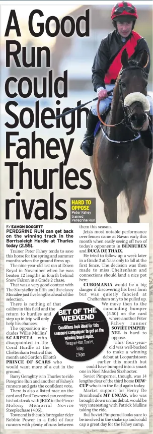  ??  ?? HARD TO OPPOSE Peter Fahey trained Peregrine Run