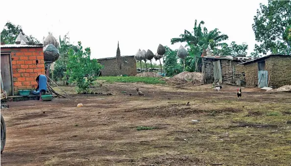  ?? MAVITIDI MULAZA | EDIÇÕES NOVEMBRO ?? Kimakungu, uns dos bairros tradiciona­is do Uíge, está esquecido pelas autoridade­s da província, pois debate-se com a falta dos serviços essenciais