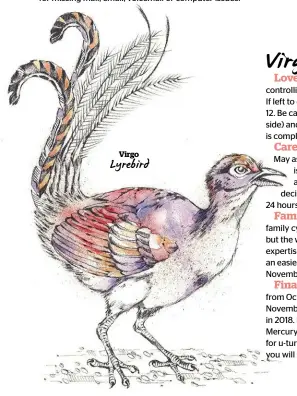  ??  ?? Virgo Lyrebird
