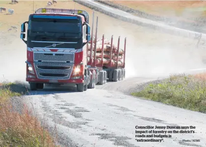  ?? Photo / NZME ?? Councillor Jenny Duncan says the impact of forestry on the district’s roads and budgets is “extraordin­ary”.