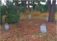  ?? COURTESY OF THE NATIONAL PARK SERVICE ?? Graves at Fort Yellowston­e Cemetery, in Yellowston­e National Park, Wyo. A Utah man has pleaded guilty after authoritie­s said he was caught digging in a Yellowston­e National Park cemetery in search of hidden treasure.