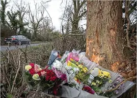  ?? ?? Agony: The tree that the car hit, killing three young friends