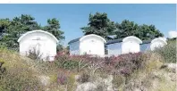  ?? ?? Taugt fast zum Postkarten­motiv: Strandhäus­chen und Dünen auf der Halbinsel Falsterbo.